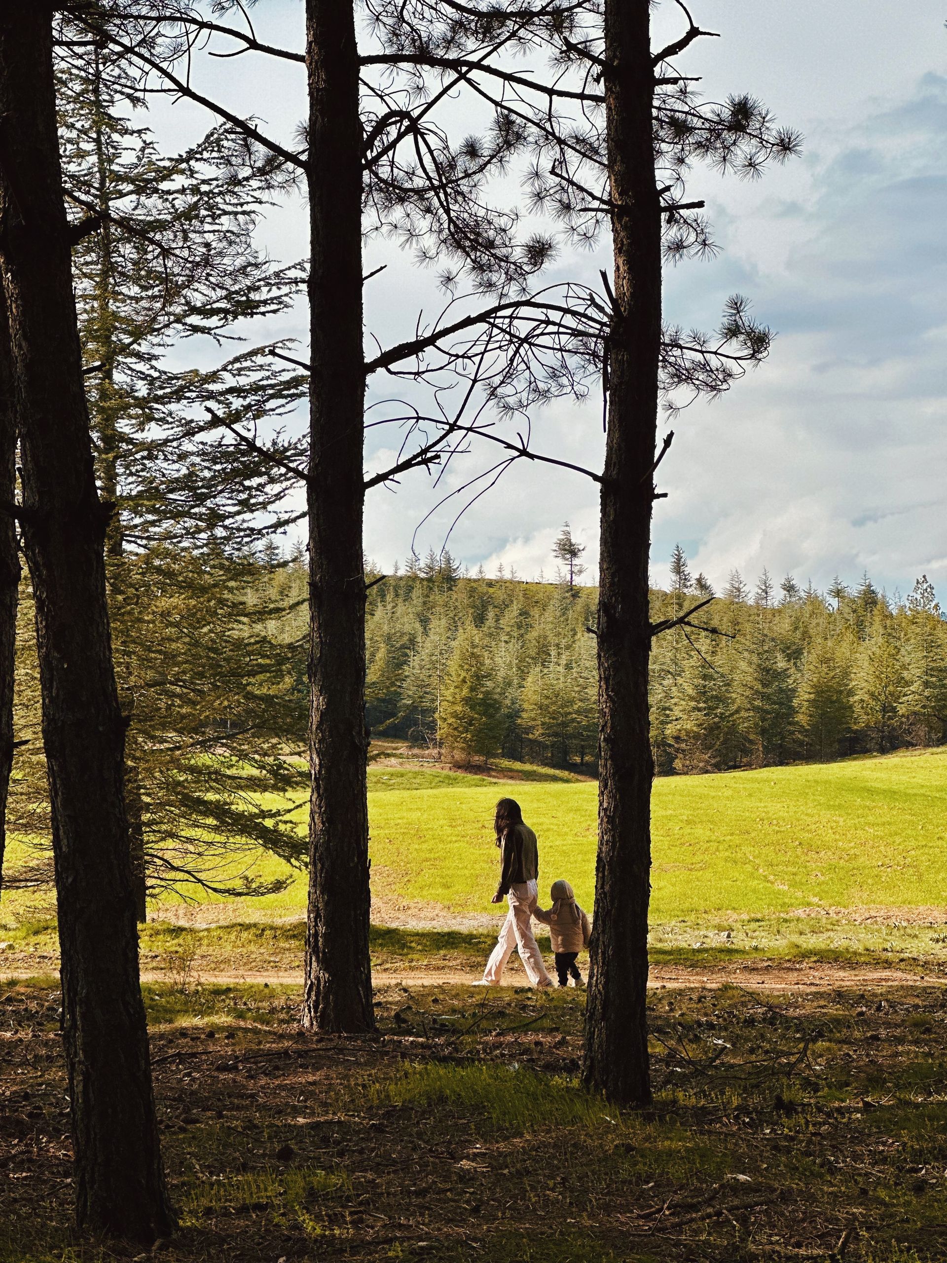 Mother and child at the edge of the pines